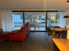 Appartamento fronte lago Muralto